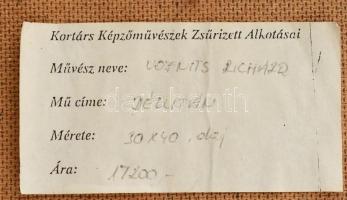 Vojnits Richárd (1942-): Délután. Olaj, farost, jelzett, fa keretben. Fa keretben. Hátoldalán zsűri ...