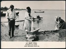 Az erdő titka, 3 db filmfotó, kisebb törésnyomokkal, 18×24 cm