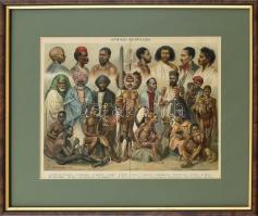 cca 1900 Afrikai népfajok, litho kép, Pallas Nagy Lexikona, üvegezett keretben, 22×27 cm