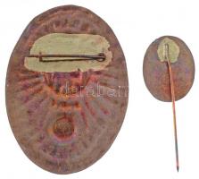 DN "A Kisiparban végzett munkásságáért - 50 éves KIOSZ" zománcozott fém jelvény, miniatűrr...