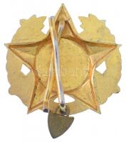 ~1970. "Katonai Haditorna (KHT)" zománcozott aranyozott koszorús jelvény "2" szá...