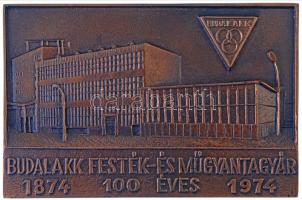 1974. "100 éves a Budalakk Festék- és Műgyantagyár" Br emlékplakett tokban (146x96mm) T:1-