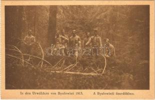 In der Urwäldern von Byalowies 1915 / A Byalowiesi őserdőkben / WWI Austro-Hungarian K.u.K. military, soldiers in the primeval forest of Bialowieza (Poland)