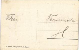 Gépfegyverosztály öszvérekkel / Maschinengewehr-Abteilung mit Maulthieren / WWI Austro-Hungarian K.u...