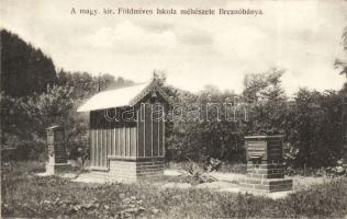 Breznóbánya k.u.k. apiary / méhészet