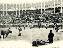 Toledo Bull fight (b) Panoramacard