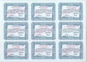 Budapest 1990-1994. "Richter Gedeon Vegyészeti Gyár Rt." "MINTA" törzsrészvénye ...