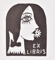 Magyar Kisgrafika. Kisgrafika Barátok köre 1970. Kiadói félvászon kötésű mappában. Számozott: 274/50...