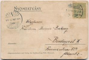 1905 Brassó, Kronstadt, Brasov; látkép. Keményhátú leporellólap / general view. Thick wooden leporel...