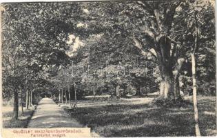1922 Bikszád-fürdő, Baile Bixad; Park részlet, sugárút. Divald Károly Fia kiadása / park, road (r)