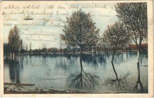 1913 Zsombolya, Hatzfeld, Jimbolia; Tó részlet. Photobromüra No. 201. / Teichpartie / lake (r)
