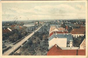 1915 Zsombolya, Hatzfeld, Jimbolia; látkép észak felé. Photobromüra No. 195. / Total-Ansicht gegen Norden / general view (r)