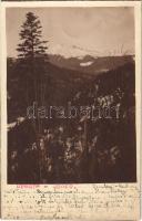 1915 Óradna, Alt-Rodna, Radna veche, Rodna; Radnai-havasok, Ünőkő / Muntii Rodnei, Varful Ineu / mountain peak. photo (EK)