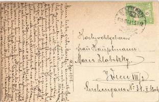 1915 Óradna, Alt-Rodna, Radna veche, Rodna; Radnai-havasok, Ünőkő / Muntii Rodnei, Varful Ineu / mou...