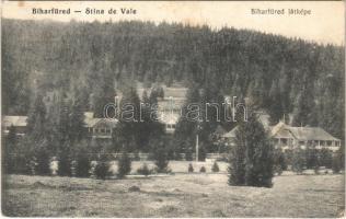 1912 Biharfüred, Stana de Vale, Stina de Vale; nyaralók / villas (fl)