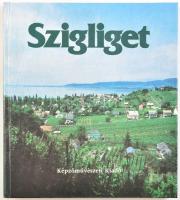 Szigliget. Szerk.: Koczogh Ákos. Bp., 1988, Képzőművészeti Kiadó. 141 p + XXXII t. Kiadói kartonált papírkötés, kissé kopott borítóval.