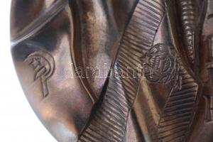 Asszonyi Tamás (1942-) 1979. "Szovjet-magyar közös űrrepülés" Br plakett peremen "AT&...