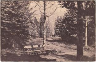 1936 Konyár, Sóstófürdő, park (vágott / cut)