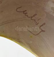 Mihály Béla (1930-2001): Függő kaspó. Mázas kerámia, kézzel festett, jelzett, mázrepedésekkel, kiseb...