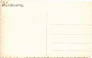 A Csodaszarvas. Magyar folklór / Hungarian folklore art postcard. photo