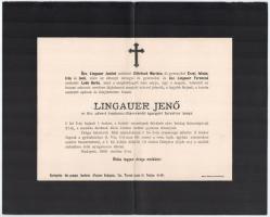 1909 Lingauer Jenő (1860-1909) m. kir. udvari tanácsos, és MÁV igazgató helyettes halálozási értesítője.