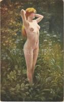 Morgensonne / Erotic nude lady art postcard. Gemälde-Postkarte s: Hans Zahl (EK)