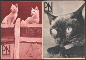 1931-1939 A Pesti Napló képes melléklete, 5 db