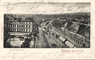 Losonc with synagogue