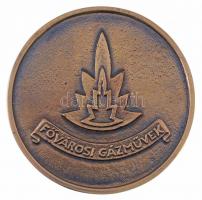 ~2006. "Fővárosi Gázművek 1856" kétoldalas, öntött Br emlékérem (89mm) T:2