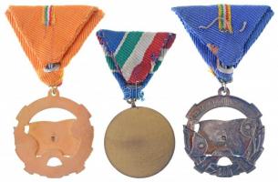 1954. "1954. évi Dunai Árvízvédelemért" aranyozott Br kitüntetés mellszalaggal + 1964. &qu...