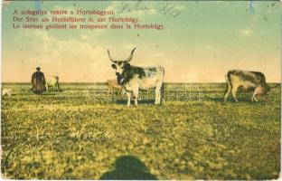 1915 Hortobágy, a szűzgulya vezére a Hortobágyon, magyar folklór (EB)