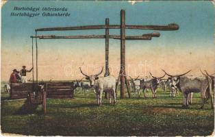 Hortobágy, Ökörcsorda, magyar folklór. Erdélyi udvari fényképész felvétele. Vasúti levelezőlapárusítás 1916. (kopott sarkak / worn corners)