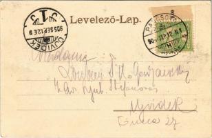 1905 Pancsova, Pancevo; Kiállítás, pavilon. Pancosvai Népkonyha kiadása / Exhibition, pavilion