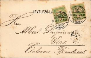 1903 Pancsova, Pancevo; Weisz szálloda, Népkert / hotel, park. Art Nouveau, floral