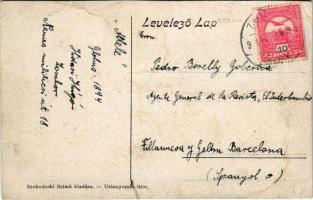 1916 Titel, Tiszai kikötő. Szuboticski Szimó kiadása / Tisa port, ships (vágott / cut)