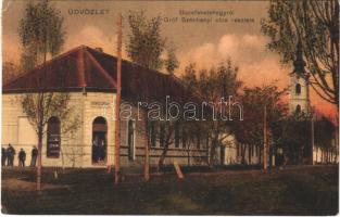 1920 Bácsfeketehegy, Feketic; Gróf Széchenyi utca, templom, Steinitz Sámuel üzlete / street, church, shop (EK)