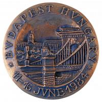 1984. "Budapest 1984. június 11-16 / NPK - Centre Internacional Des Engrais Chimiques 1933-1983" Br emlékérem (98mm) T:1 bőr zsebben