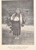 1893 Erdély. Turistasági, fürdőügyi és néprajzi folyóirat. Az Erdélyrészi Kárpát-Egyesület értesítőj...