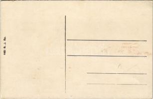 Pancsova, Pancevo; Rákóczi utca, üzletek / street, shops