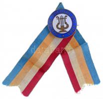 ~1920-1930. "Szegedi Polgári Dalárda" zománcozott Br jelvény "J. WEIDLICH WIEN - VII....