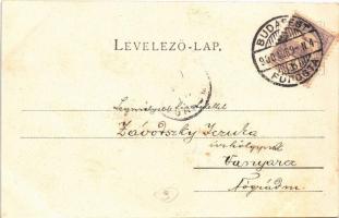 1900 Balatonföldvár, parti épületek