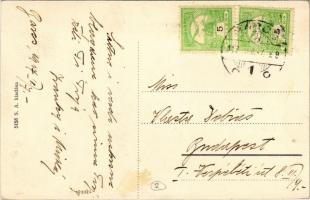 1917 Barcs, Széchenyi utca, Drávavidék szerkesztősége, Szilágyi György üzlete