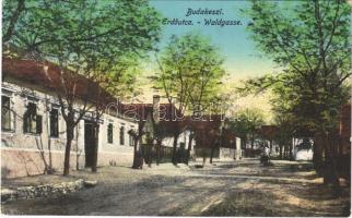 Budakeszi, Erdő utca, Martin Lőrincz vendéglője az Arany sashoz