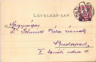 Budapest I. Várkert Rakpont. Künstlerpostkarte No. 1848. von Ottmar Zieher litho s: Raoul Frank