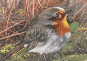 Tirschenreuth madaras porcelán fali tál, matricás, jelzett, hibátlan, d: 19,5 cm