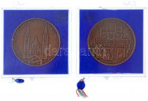 1980. "Szent Gellért / Szeged MDCCCLXXX - Árvízi fogadalom MCMLXXX" Br emlékérem sérült ÁP...