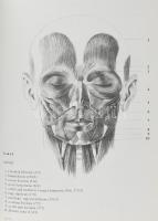 Szunyoghy András Dr. Fehér György: Kis rajziskola. Művészeti összehasonlító anatómia. Bp., 2004. Nov...