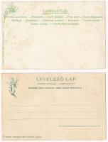 Ótátrafüred, Tátrafüred, Altschmecks, Stary Smokovec (Magas-Tátra, Vysoké Tatry); vendéglő és gyógys...