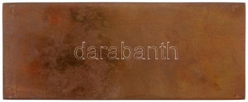 ~1970. "Lenin Kohászati Művek Diósgyőr" öntött Br plakett (59x148mm) T:2