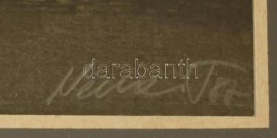 Nemes Tibor (1955-): Balatoni fények. Akvarell, papír, jelzett. Üvegezett fa keretben, 31,5×44 cm